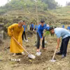 Lãnh đạo địa phương cùng đoàn viên, thanh niên và người dân ra quân trồng cây tại tuyến đường. (Ảnh: Đức Thọ/TTXVN)