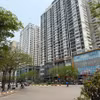 Ảnh minh họa. (Thái Hà/Vietnam+)