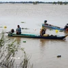 Nước lũ rút là thời điểm đánh bắt thủy sản nhộn nhịp của người dân ở khu vực đầu nguồn tỉnh Đồng Tháp. (Ảnh: Nhựt An/TTXVN)