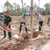 Ngay sau lễ phát động, lãnh đạo Quân khu 9, lãnh đạo tỉnh Cà Mau cùng đông đảo lực lượng đoàn viên, thanh niên, cán bộ, chiến sĩ và người dân đã đồng loạt ra quân tham gia trồng cây. (Ảnh: Huỳnh Anh/TTXVN)
