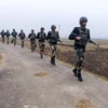 Lực lượng an ninh biên giới Ấn Độ tuần tra dọc đường Ranh giới kiểm soát phân chia khu vực Kashmir giữa Ấn Độ và Pakistan. (Ảnh: ANI/TTXVN)