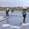 Người dân xã Giao Bình, tỉnh Ninh Bình thu hoạch muối. (Ảnh: Công Luật/TTXVN)