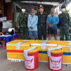 2 đối tượng Nguyễn Lệnh và Nguyễn Hữu Nhân là cha con, cùng trú tại xã Tịnh Khê, tỉnh Quảng Ngãi. (Ảnh: TTXVN phát)