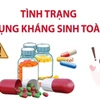 Tình trạng lạm dụng kháng sinh toàn cầu