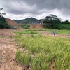 Cánh đồng lúa của một số hộ dân ở thôn Nam Hà, xã Cẩm Giàng (Thái Nguyên) bị đất đá từ Nhà máy gạch Tuynel đổ xuống, vùi lấp. (Ảnh: Hoàng Nguyên/TTXVN) 