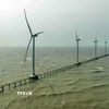 Nhà máy điện gió tại thị xã Duyên Hải, tỉnh Vĩnh Long (Trà Vinh cũ). (Ảnh: Vũ Sinh/TTXVN)