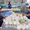 Chế biến dừa tươi. (Ảnh: Minh Trí/TTXVN)