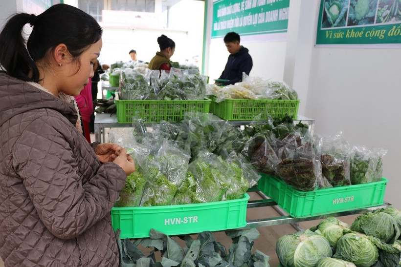 Việc số hóa sẽ giúp các hộ kinh doanh có khả năng tiếp cận vốn vay dễ dàng hơn. (Ảnh: Vietnam+)