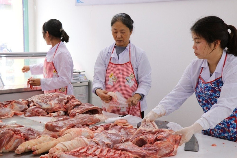 Trên thị trường, giá thịt lợn hơi dao động trong khoảng 72.000-80.000 đồng/kg ở thời điểm cuối tháng Hai. (Ảnh: Vietnam+)