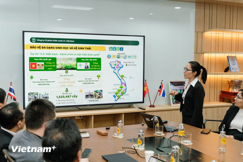 Đã đến lúc, cộng đồng kinh doanh cần một cuộc chuyển dịch tư duy quyết liệt sang "chủ động quản trị rủi ro" để tồn tại và phát triển. (Ảnh: Vietnam+)