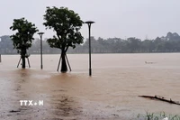 Lũ lên trên báo động 2 gây ngập đường đi bộ ven bờ Nam sông Hương, thành phố Huế. (Ảnh: Nguyên Lý/TTXVN)