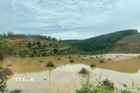 Cây trồng bị ngập sâu trong nước do ảnh hưởng thủy điện Đồng Nai 5 xả lũ. (Ảnh: K GỬIH/TTXVN)