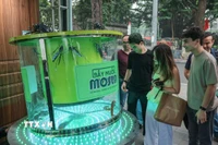 Du khách nước ngoài tham quan gian hàng tại triển lãm Techfest Việt Nam 2025 tại phố đi bộ Hồ Gươm. (Ảnh: Hoàng Hiếu/TTXVN)