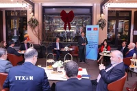 Quang cảnh buổi tiếp của Phó Thủ tướng Trần Hồng Hà với các Đại sứ, Đại biện Liên minh châu Âu và các nước thành viên. (Ảnh: Văn Điệp/TTXVN)