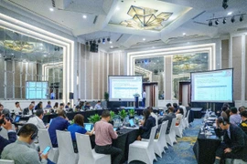 Hoạt động tư vấn tổ chuyên trách sẽ tập trung vào một số lĩnh vực chiến lược quan trọng nhằm tạo điều kiện triển khai Hệ thống pin lưu trữ năng lượng quy mô lớn. (Ảnh: PV/Vietnam+)