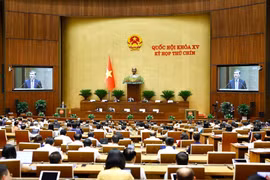 Quốc hội thảo luận về đề nghị sửa đổi, bổ sung một số điều của Hiến pháp năm 2013. (Ảnh: TTXVN)