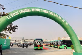 Tính đến tháng 7/2025, thành phố Hà Nội đã đưa vào hoạt động 16 tuyến buýt điện với tổng cộng 248 xe