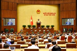Quang cảnh phiên họp. (Ảnh: TTXVN)