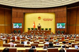 Quốc hội thảo luận tại hội trường về dự thảo Nghị quyết của Quốc hội quy định một số cơ chế, chính sách đặc biệt tạo đột phá trong xây dựng và tổ chức thi hành pháp luật. (Ảnh: TTXVN)