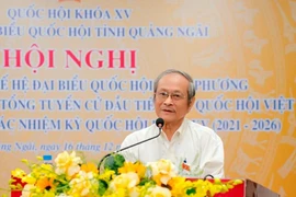 Ông Nguyễn Đức Dũng, đại biểu Quốc hội khóa XI, đoàn Kon Tum. (Ảnh: PV/Vietnam+)