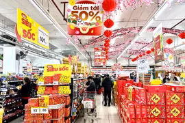 Siêu thị đẩy mạnh các chương trình khuyến mãi, giảm giá, bình ổn thị trường. (Ảnh: Đức Duy/Vietnam+)