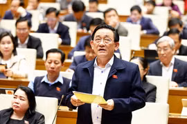 Các đại biểu thảo luận tại hội trường về các nghị quyết quan trọng phục vụ phát triển kinh tế-xã hội. (Ảnh: TTXVN)