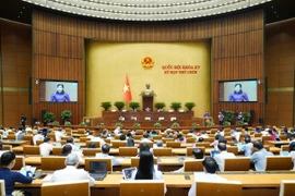 Đề xuất giảm thời gian thực hiện quy trình, thủ tục bầu cử còn 42 ngày 