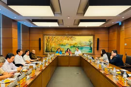 Đại biểu Quốc hội đoàn Hà Nội thảo luận ở tổ về cơ chế, chính sách đặc thù phát triển nhà ở xã hội. (Ảnh: Đức Duy/Vietnam+)