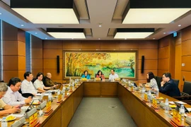 Đại biểu Quốc hội đoàn Hà Nội thảo luận ở tổ về cơ chế, chính sách đặc thù phát triển nhà ở xã hội. (Ảnh: Đức Duy/Vietnam+)