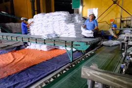 Sản xuất mía đường. (Ảnh: TTXVN)