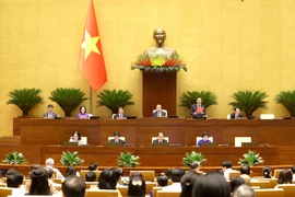 Quốc hội thảo luận về sửa đổi, bổ sung Hiến pháp năm 2013. (Ảnh: TTXVN)