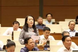 Các đại biểu thảo luận tại Kỳ họp thứ 9, Quốc hội khóa XV. (Ảnh: TTXVN)