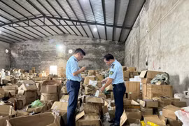 Cán bộ Chi cục Quản lý thị trường tỉnh Quảng Ninh kiểm tra kho hàng có dấu hiệu vi phạm. (Ảnh: PV/Vietnam+)
