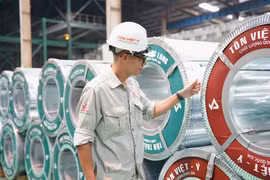 Năm 2024, tổng tiêu thụ các sản phẩm thép đạt hơn 29 triệu tấn. (Ảnh: Đức Duy/Vietnam+)