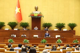 Quốc hội thảo luận tại hội trường. (Ảnh: TTXVN)