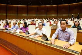 Các đại biểu Quốc hội biểu quyết thông qua dự án luật tại Kỳ họp thứ 9, Quốc hội khóa XV. (Ảnh: TTXVN)