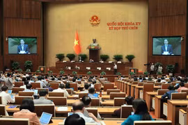 Phó Chủ tịch Quốc hội Nguyễn Đức Hải điều hành phiên họp. (Ảnh: An Đăng/TTXVN)