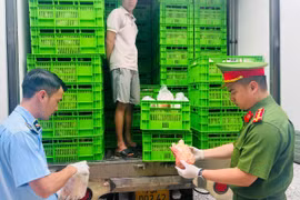 Lực lượng chức năng của Hà Nội kiểm tra kho lạnh chứa thực phẩm không rõ nguồn gốc tại khu vực gần chợ đầu mối gia cầm Hà Vỹ, huyện Thường Tín. (Ảnh: PV/Vietnam+)