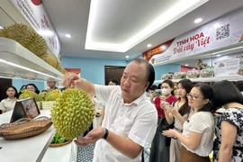 Ông Trần Hữu Linh, Cục trưởng Cục Quản lý và Phát triển thị trường trong nước. (Ảnh: Đức Duy/Vietnam+