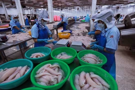 Chế biến thủy sản xuất khẩu. (Ảnh: Đức Duy/Vietnam+)