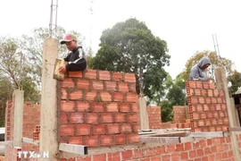 (Ảnh minh họa. Nguyên Lý/TTXVN)