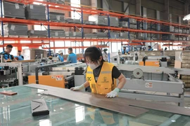 Ảnh minh họa. (Nguồn: TTXVN)