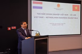 Ngày 30/7, tại Amsterdam, Phó Thủ tướng Chính phủ Nguyễn Văn Thắng đã chủ trì cuộc tọa đàm với các doanh nghiệp hàng đầu của Hà Lan. (Ảnh: Anh Hiển/TTXVN)