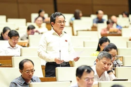 Các đại biểu Quốc hội thảo luận tại hội trường về các dự án luật quan trọng. (Ảnh: Minh Đức/TTXVN)