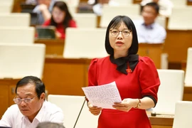 Các đại biểu thảo luận tại hội trường về các dự án luật. (Ảnh: An Đăng/TTXVN)