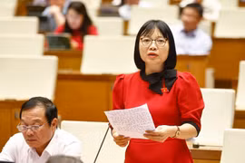 Các đại biểu thảo luận tại hội trường về các dự án luật. (Ảnh: An Đăng/TTXVN)