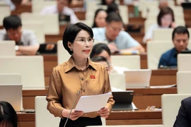 Các đại biểu Quốc hội thảo luận tại hội trường về dự án Luật Thanh tra (sửa đổi). (Ảnh: TTXVN)