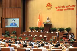Quốc hội nghe Tờ trình và báo cáo thẩm tra dự thảo Nghị quyết của Quốc hội về phổ cập giáo dục mầm non cho trẻ em mẫu giáo từ 3 đến 5 tuổi. (Ảnh: An Đăng/TTXVN) 