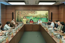 Đoàn đại biểu Quốc hội thành phố Hà Nội thảo luận tại tổ. (Ảnh: An Đăng/TTXVN)