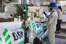 6 tháng đầu năm 2025, công ty cổ phần DAP số 2 - VINACHEM ghi nhận kết quả sản xuất, kinh doanh tích cực. (Ảnh: TTXVN)